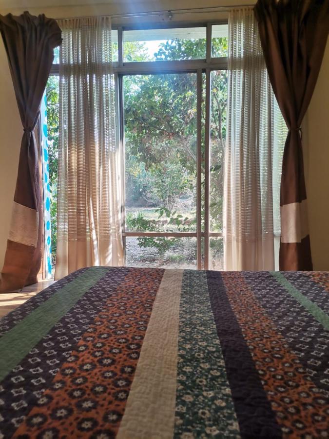 Alojamiento Comodo Centrico Con Piscina Chillán