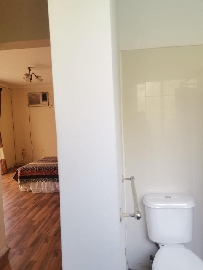 Alojamiento Comodo Centrico Con Piscina Chillán